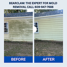 Professional-Mold-Removal-and-House-Soft-Washing-in-Hamilton-NJ-Why-BearClaw-is-the-Trusted-Choice 0